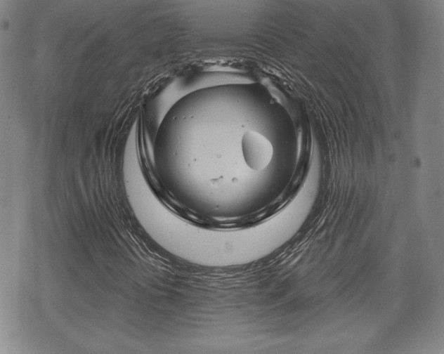 X0000070181394200606021021