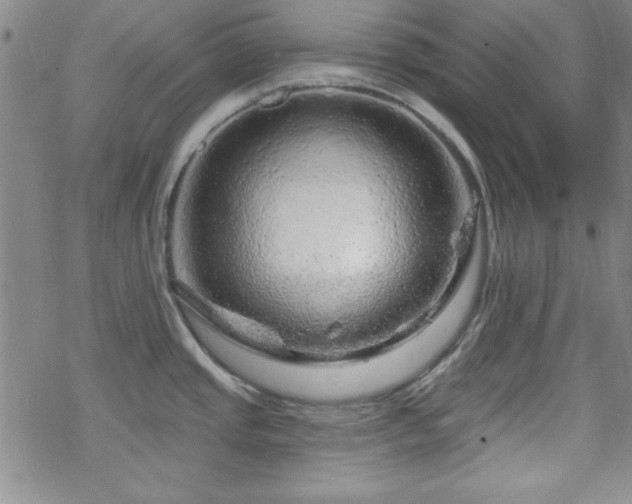 X0000070181437200606021021