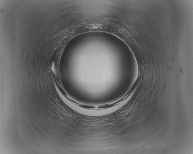 X0000070181442200606021020