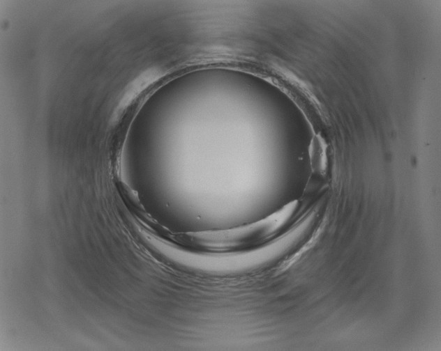 X0000070181453200606021020