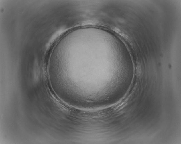 X0000070181454200606021020