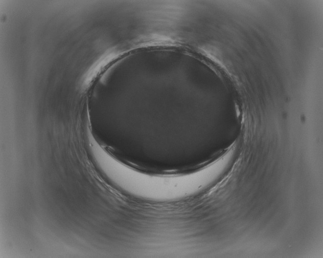 X0000070181455200606021020