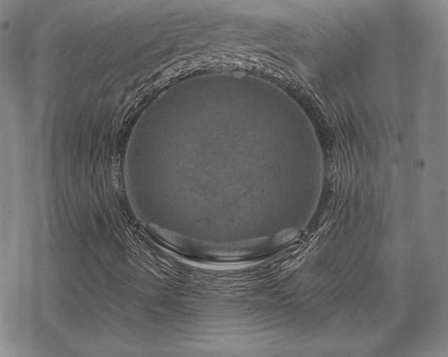 X0000070181490200606021019