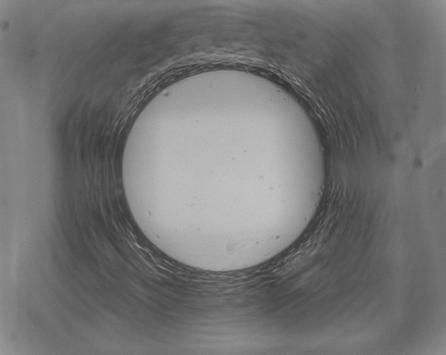 X0000070181492200606021019