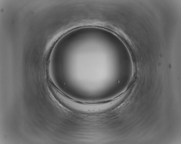 X0000070181504200606021019