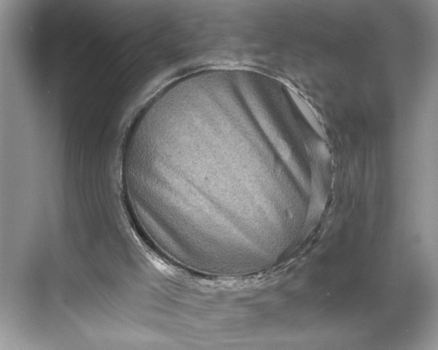 X0000070180005200606091518