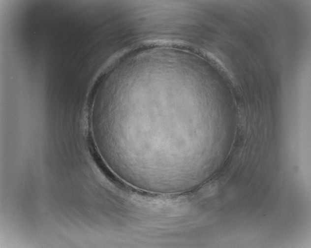 X0000070180016200606091518