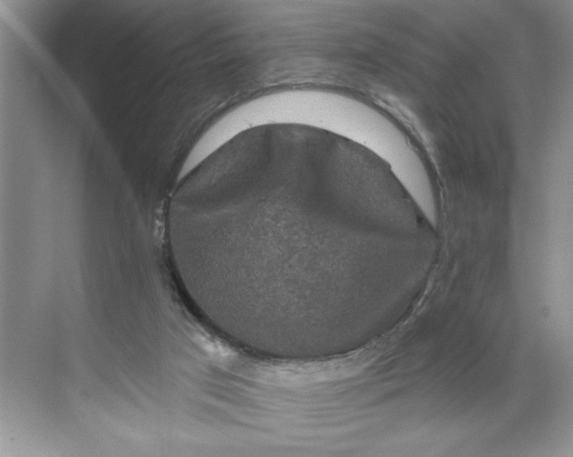 X0000070180017200606091518