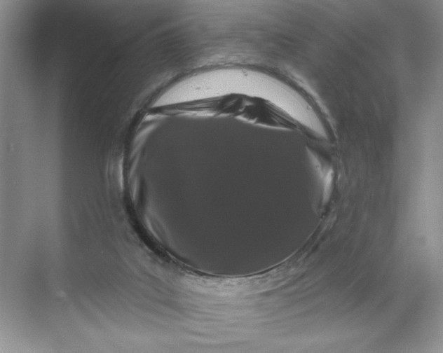X0000070180019200606091518