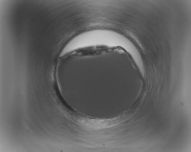 X0000070180023200606091518