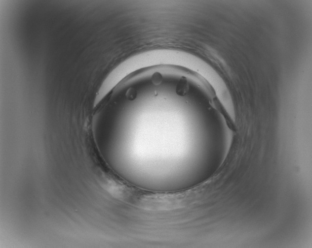 X0000070180025200606091518