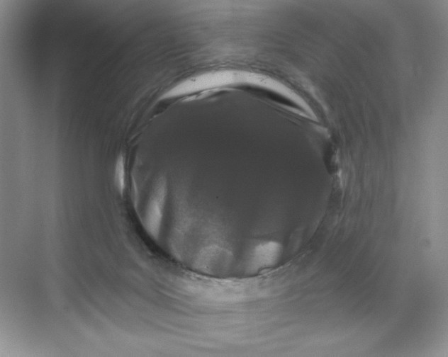 X0000070180027200606091518