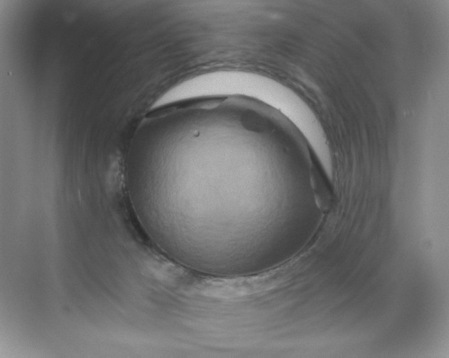X0000070180029200606091518