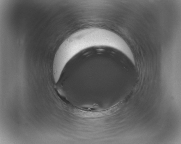 X0000070180031200606091518