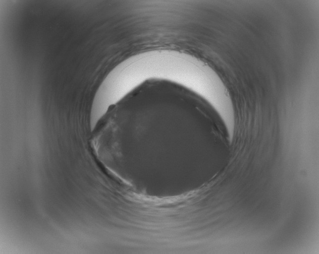 X0000070180035200606091518