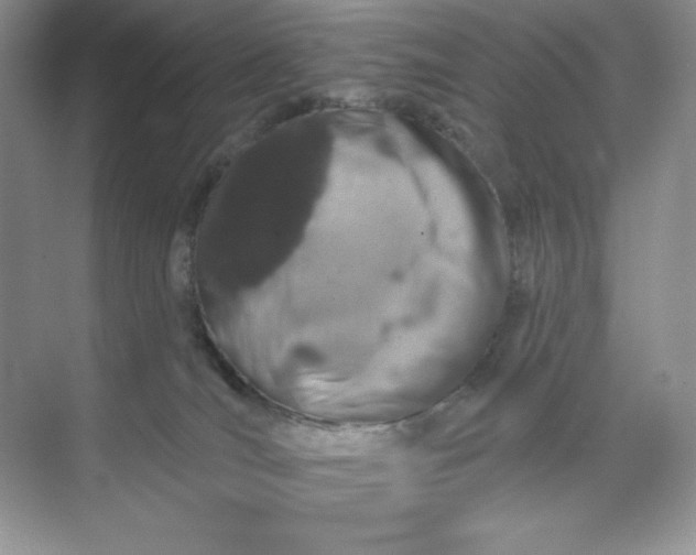 X0000070180036200606091518
