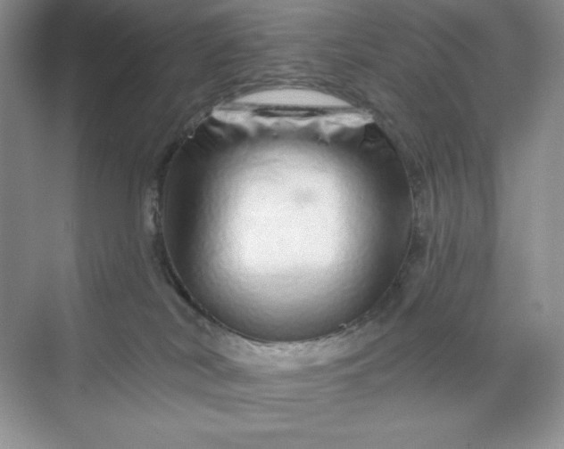 X0000070180038200606091518