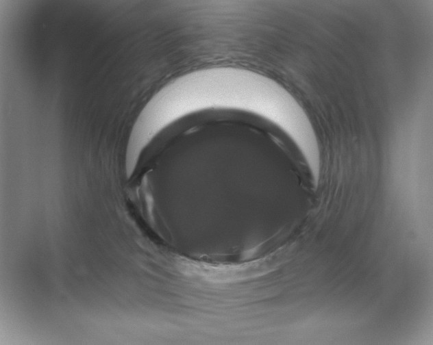 X0000070180039200606091518