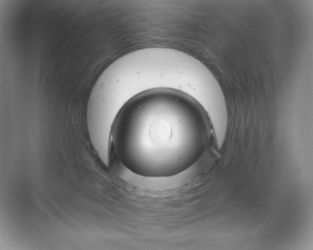 X0000070180043200606091518