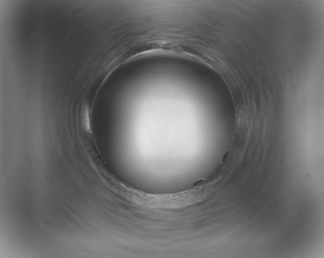 X0000070180046200606091518