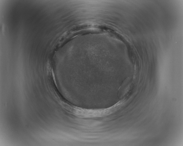 X0000070180048200606091518