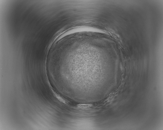 X0000070180051200606091517