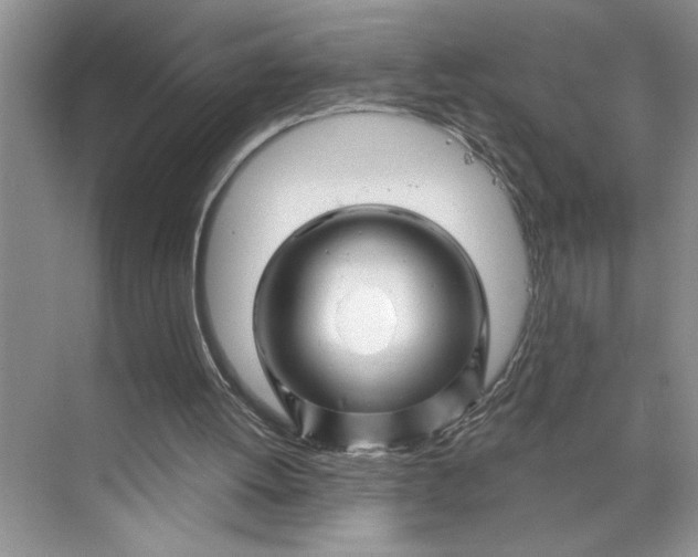 X0000070180052200606091517