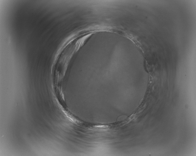 X0000070180053200606091517