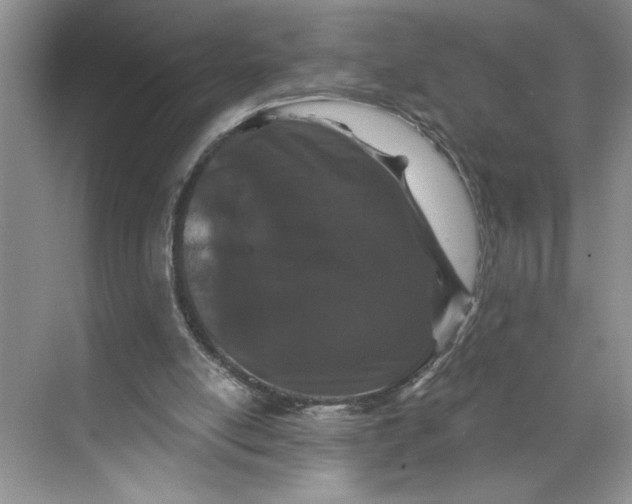 X0000070180054200606091517