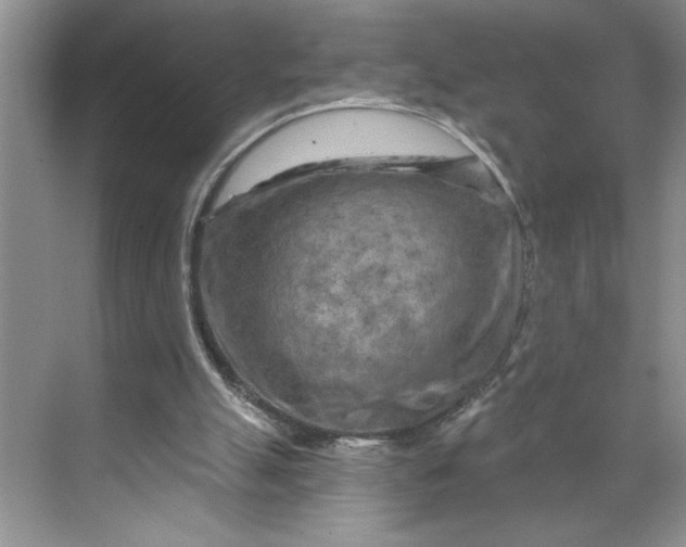 X0000070180055200606091517