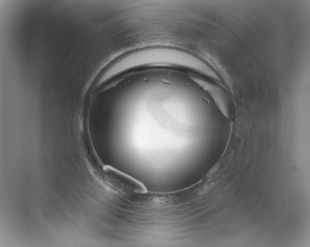 X0000070180060200606091517