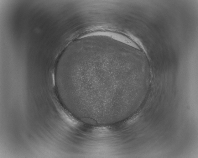 X0000070180061200606091517
