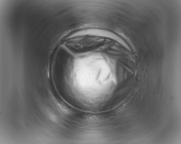 X0000070180062200606091517