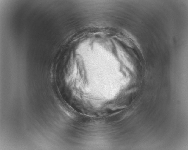 X0000070180065200606091517