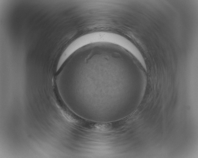 X0000070180070200606091517