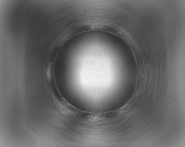 X0000070180074200606091517