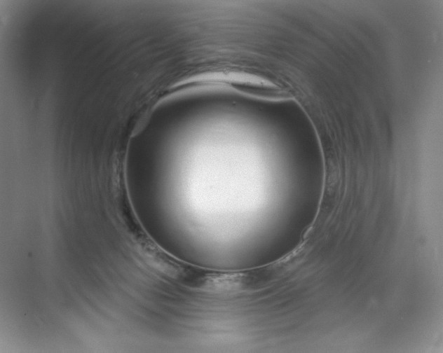 X0000070180078200606091517