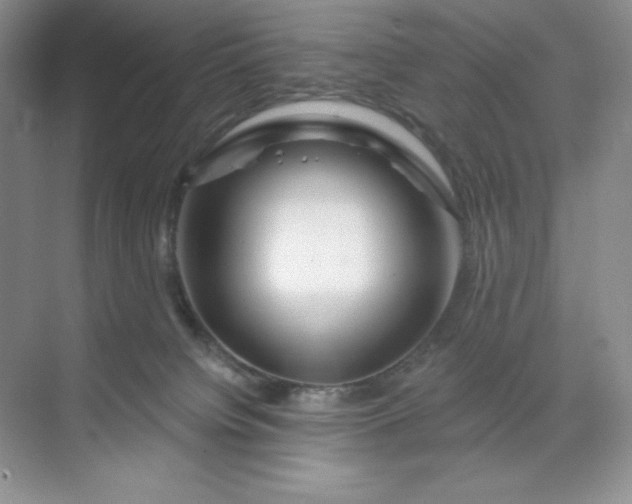 X0000070180084200606091518