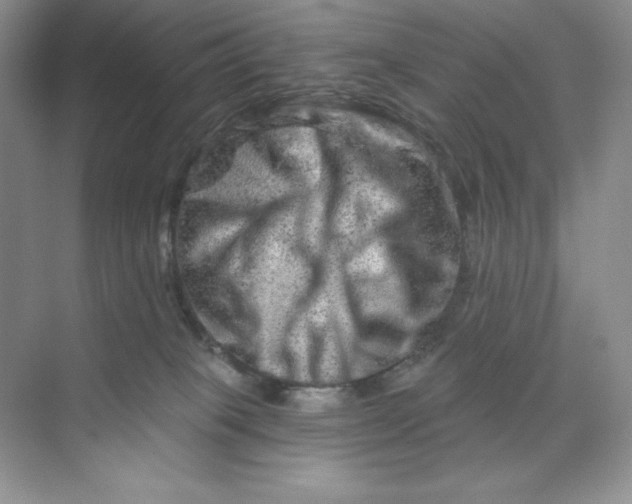X0000070180085200606091518
