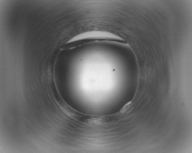 X0000070180086200606091518