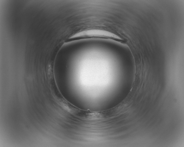 X0000070180087200606091518