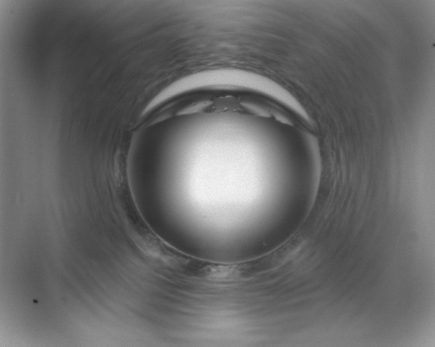 X0000070180088200606091518