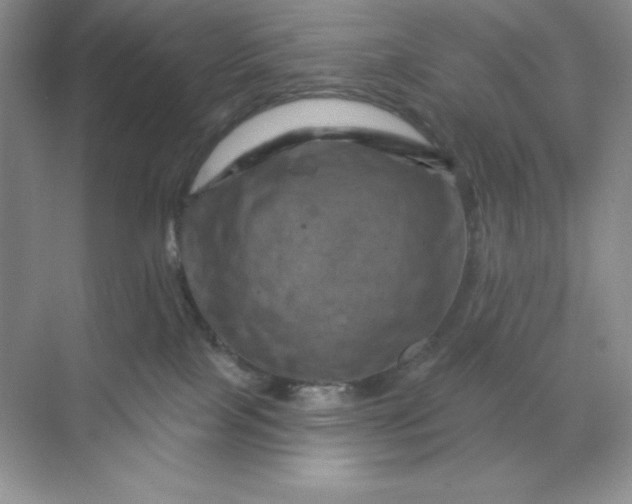 X0000070180089200606091518
