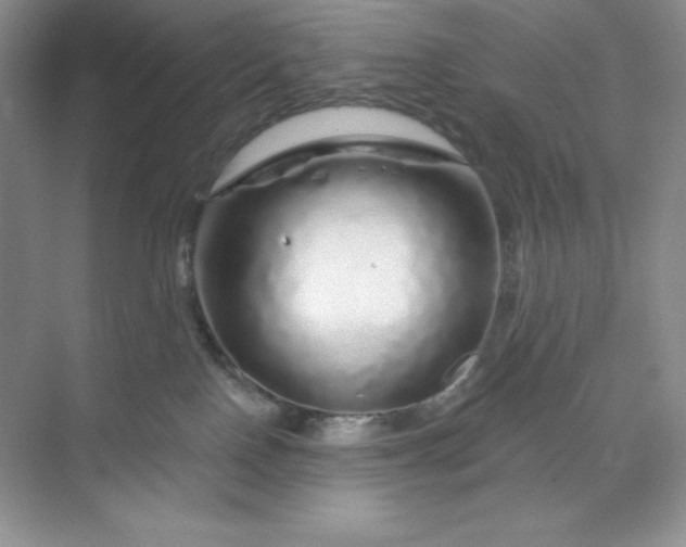 X0000070180090200606091518