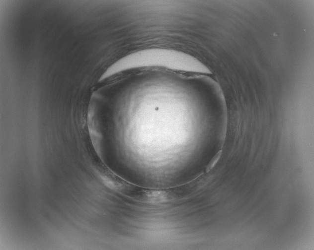 X0000070180091200606091518