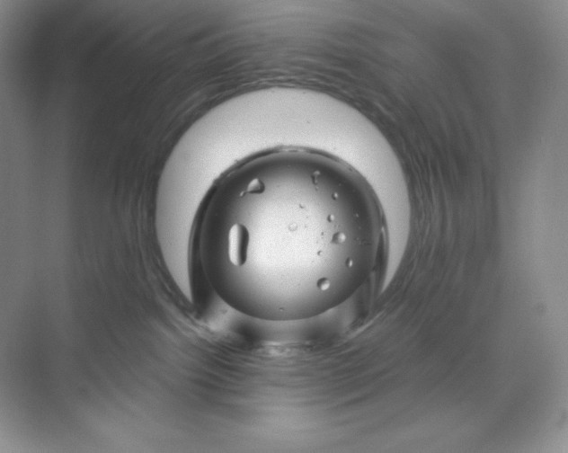 X0000070180092200606091518