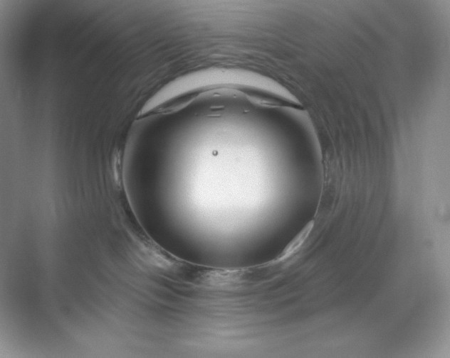 X0000070180094200606091518