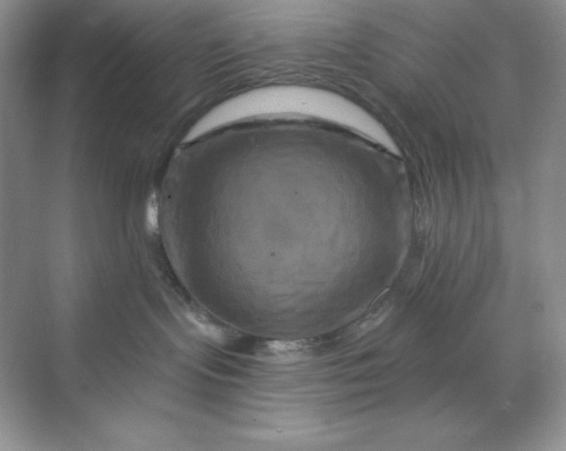 X0000070180095200606091518