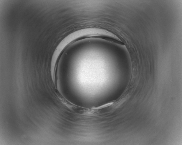 X0000070180096200606091518