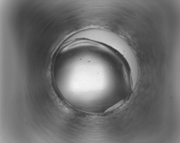 X0000070180098200606091517